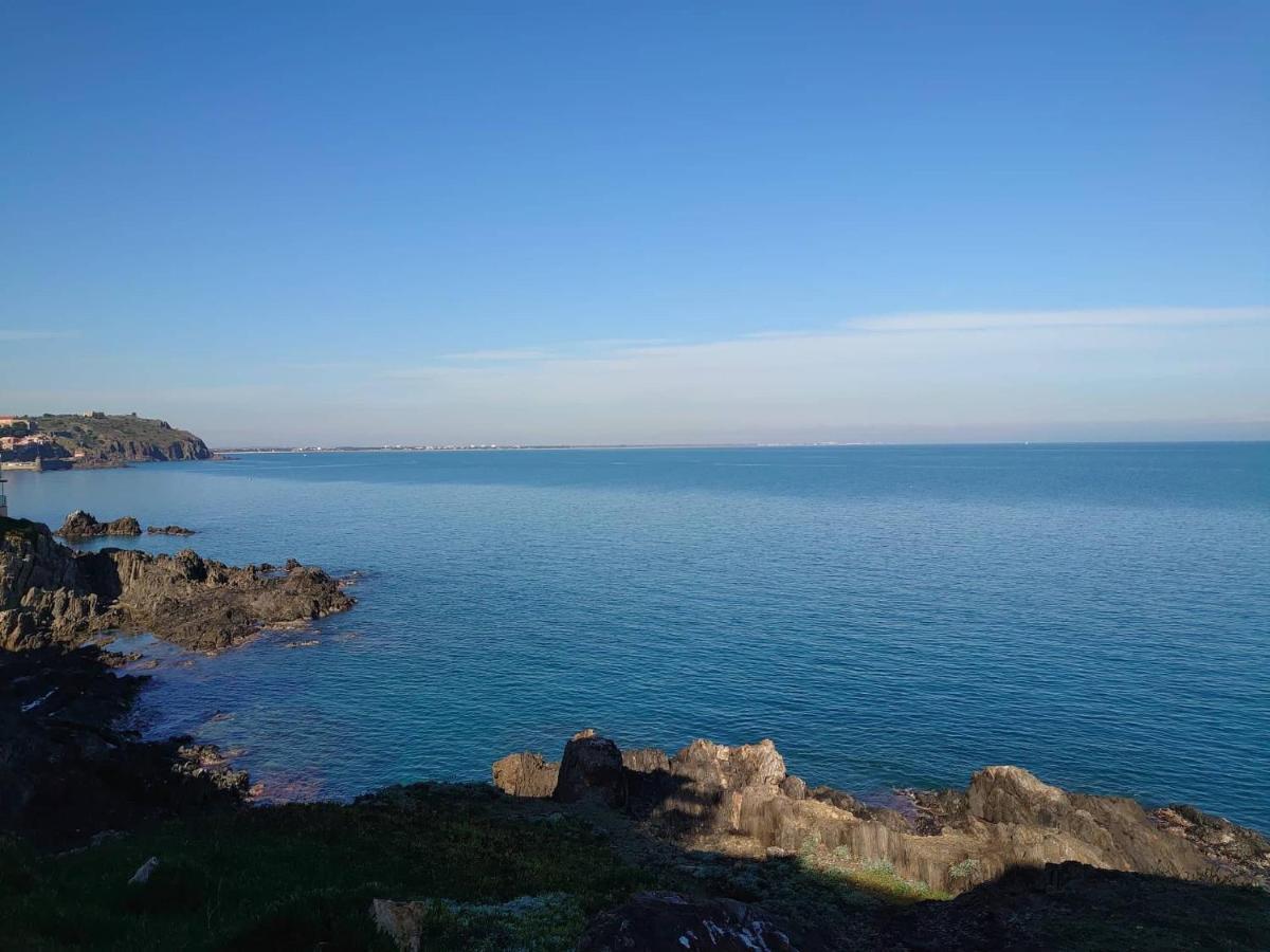 4Rb4 Appartement Type T2 Bord De Mer Acces Plage Direct 콜리우르 외부 사진